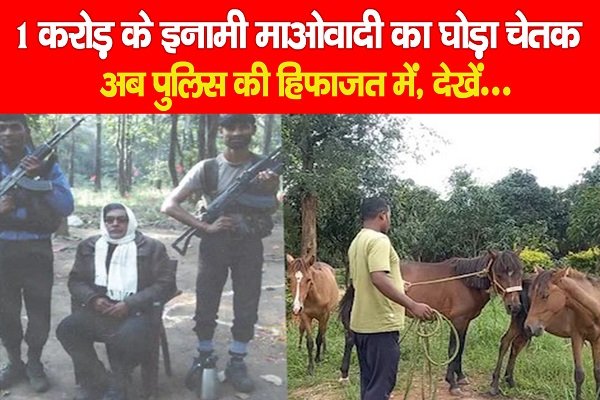 1 करोड़ के इनामी माओवादी का घोड़ा चेतक अब पुलिस की हिफाजत में, देखें.. 1 करोड़ के इनामी माओवादी का घोड़ा चेतक अब पुलिस की हिफाजत में, देखें..