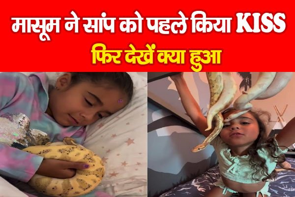 मासूम ने सांप को पहले किया KISS, फिर देखें क्या हुआ मासूम ने सांप को पहले किया KISS, फिर देखें क्या हुआ
