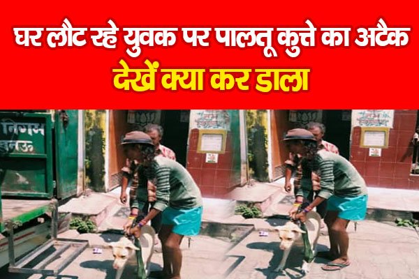 घर लौट रहे युवक पर पालतू कुत्ते का अटैक, देखें क्या कर डाला घर लौट रहे युवक पर पालतू कुत्ते का अटैक, देखें क्या कर डाला