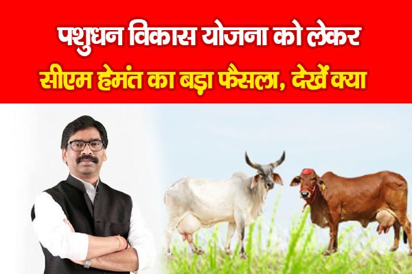 पशुधन विकास योजना को लेकर सीएम हेमंत का बड़ा फैसला, देखें क्या पशुधन विकास योजना को लेकर सीएम हेमंत का बड़ा फैसला, देखें क्या