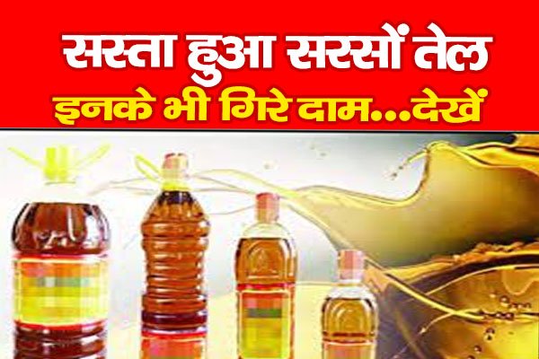 सस्ता हुआ सरसों तेल, इनके भी गिरे दाम…देखें सस्ता हुआ सरसों तेल, इनके भी गिरे दाम…देखें