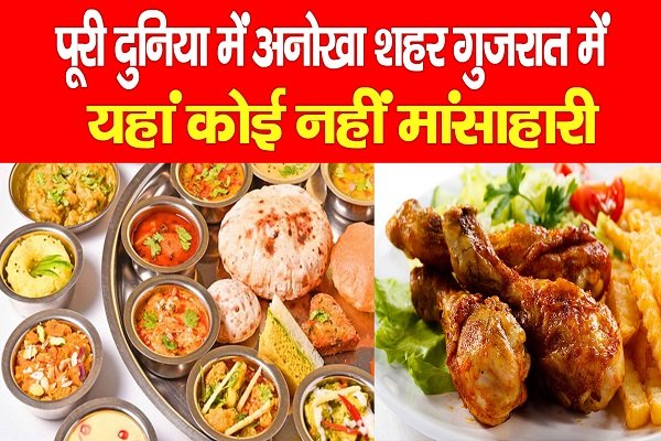 पूरी दुनिया में अनोखा शहर गुजरात में, यहां कोई नहीं मांसाहारी पूरी दुनिया में अनोखा शहर गुजरात में, यहां कोई नहीं मांसाहारी