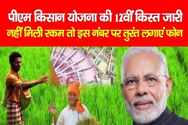 पीएम किसान योजना की 12वीं किस्त जारी, खाता में नहीं आई रकम तो इस नंबर पर तुरंत लगाएं फोन पीएम किसान योजना की 12वीं किस्त जारी, खाता में नहीं आई रकम तो इस नंबर पर तुरंत लगाएं फोन