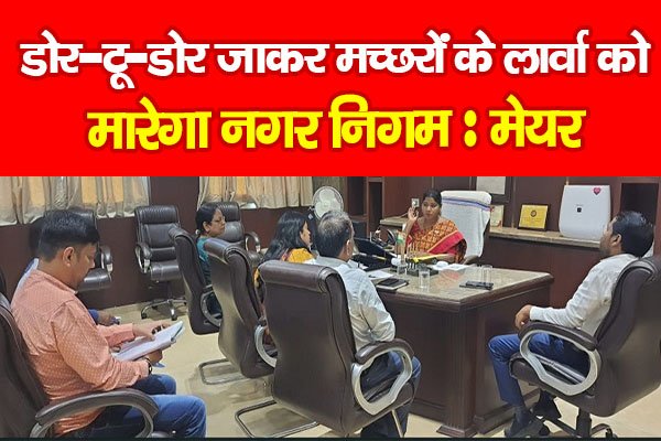 डोर-टू-डोर जाकर मच्छरों के लार्वा को मारेगा नगर निगम : मेयर डोर-टू-डोर जाकर मच्छरों के लार्वा को मारेगा नगर निगम : मेयर
