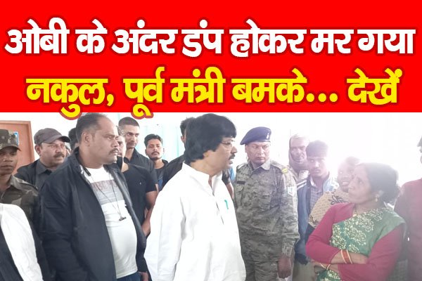 ओबी के अंदर डंप होकर मर गया नकुल, पूर्व मंत्री बमके... देखें ओबी के अंदर डंप होकर मर गया नकुल, पूर्व मंत्री बमके... देखें