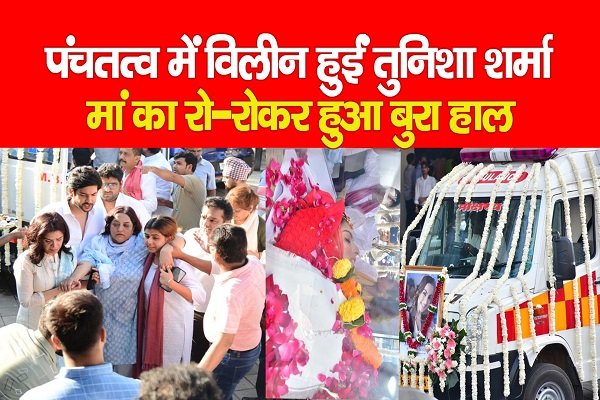 पंचतत्व में विलीन हुईं तुनिशा शर्मा, मां का रो-रोकर हुआ बुरा हाल पंचतत्व में विलीन हुईं तुनिशा शर्मा, मां का रो-रोकर हुआ बुरा हाल