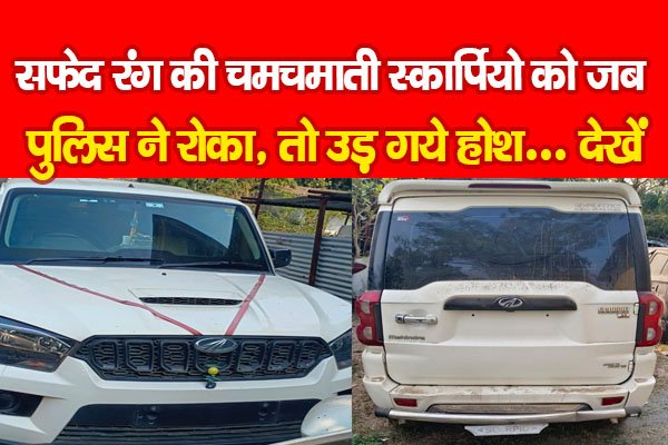 सफेद रंग की चमचमाती स्कार्पियो को जब पुलिस ने रोका, तो उड़ गये होश... देखें सफेद रंग की चमचमाती स्कार्पियो को जब पुलिस ने रोका, तो उड़ गये होश... देखें
