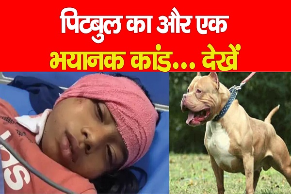 पिटबुल का और एक भयानक कांड... देखें पिटबुल का और एक भयानक कांड... देखें