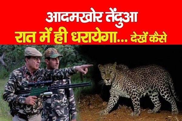 आदमखोर तेंदुआ रात में ही धरायेगा... देखें कैसे आदमखोर तेंदुआ रात में ही धरायेगा... देखें कैसे