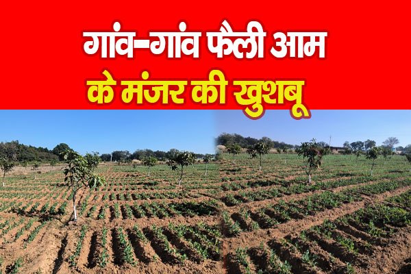 गांव-गांव फैली आम के मंजर की खुशबू गांव-गांव फैली आम के मंजर की खुशबू