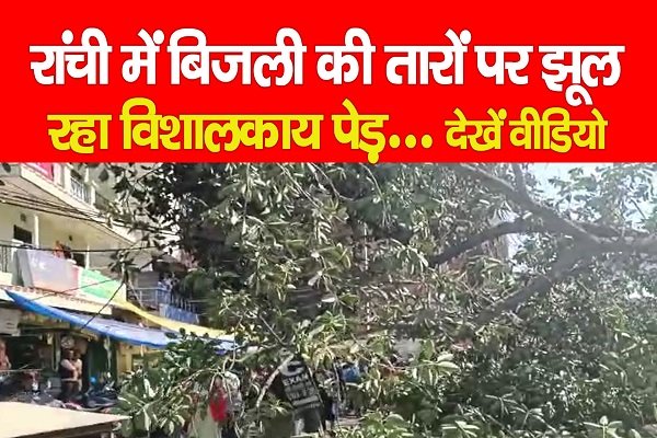Lalpur : रांची में बिजली की तारों पर झूल रहा विशालकाय पेड़... देखें वीडियो Lalpur : रांची में बिजली की तारों पर झूल रहा विशालकाय पेड़... देखें वीडियो