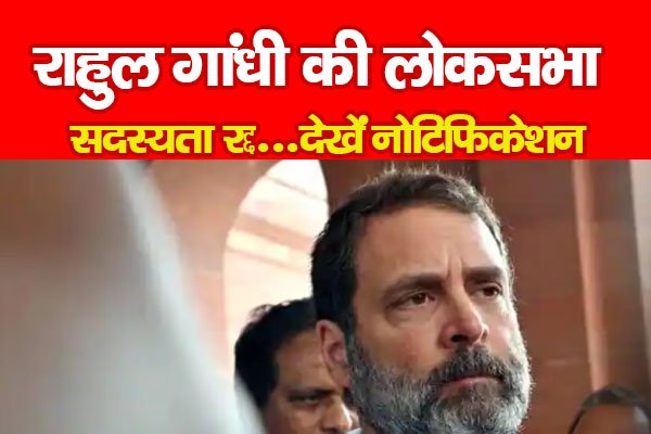 राहुल गांधी की लोकसभा सदस्यता रद्द...देखें नोटिफिकेशन राहुल गांधी की लोकसभा सदस्यता रद्द...देखें नोटिफिकेशन