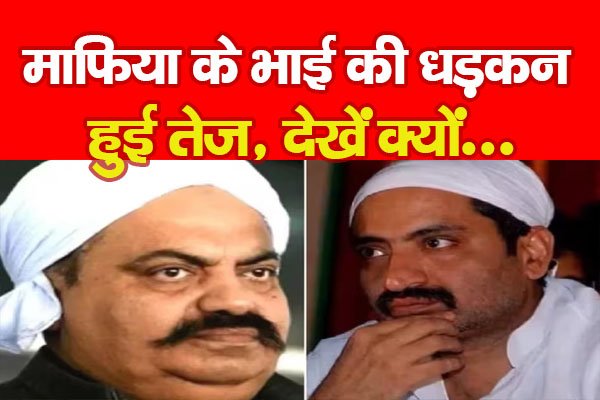 माफिया के भाई की धड़कन हुई तेज, देखें क्यों... माफिया के भाई की धड़कन हुई तेज, देखें क्यों...