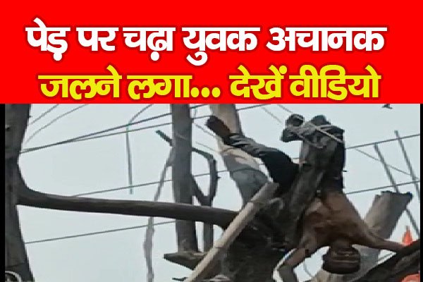 पेड़ पर चढ़ा युवक अचानक जलने लगा... देखें वीडियो पेड़ पर चढ़ा युवक अचानक जलने लगा... देखें वीडियो