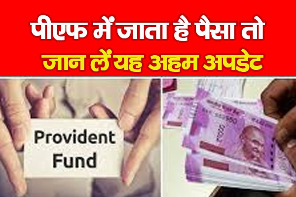 पीएफ में जाता है पैसा तो जान लें यह अहम अपडेट पीएफ में जाता है पैसा तो जान लें यह अहम अपडेट