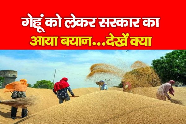 गेहूं को लेकर सरकार का आया बयान...देखें क्या गेहूं को लेकर सरकार का आया बयान...देखें क्या