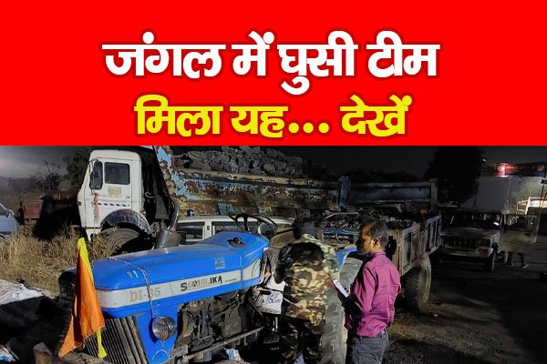 जंगल में घुसी टीम, मिला यह... देखें जंगल में घुसी टीम, मिला यह... देखें