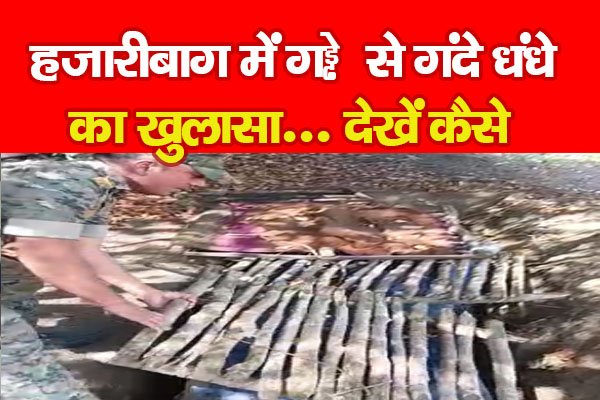 हजारीबाग में गड्ढे से गंदे धंधे का खुलासा... देखें कैसे हजारीबाग में गड्ढे से गंदे धंधे का खुलासा... देखें कैसे