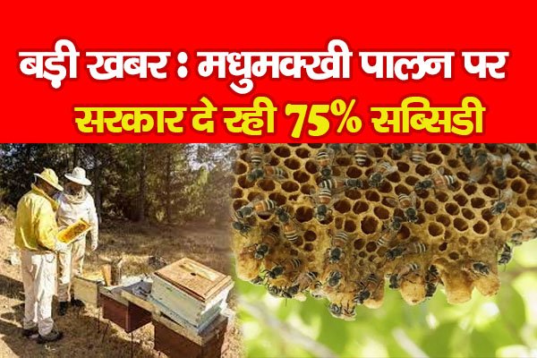 बड़ी खबर : मधुमक्खी पालन पर सरकार दे रही 75% सब्सिडी बड़ी खबर : मधुमक्खी पालन पर सरकार दे रही 75% सब्सिडी