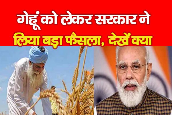 गेहूं को लेकर सरकार ने लिया बड़ा फैसला, देखें क्या गेहूं को लेकर सरकार ने लिया बड़ा फैसला, देखें क्या