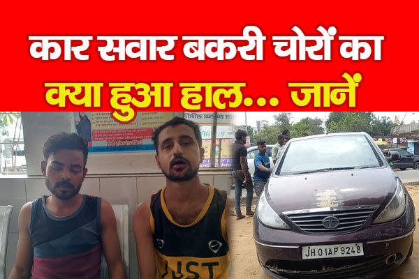 कार सवार बकरी चोरों का क्या हुआ हाल... जानें कार सवार बकरी चोरों का क्या हुआ हाल... जानें