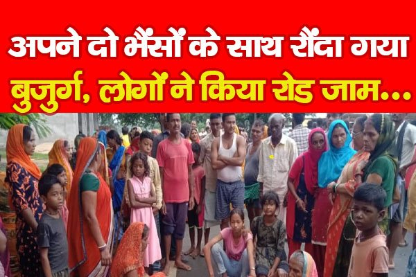 अपने दो भैंसों के साथ रौं*दा गया बुजुर्ग, लोगों ने किया रोड जाम... अपने दो भैंसों के साथ रौं*दा गया बुजुर्ग, लोगों ने किया रोड जाम...