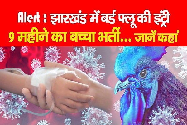 Alert : झारखंड में बर्ड फ्लू की इंट्री, 9 महीने का बच्चा भर्ती... जानें कहां Alert : झारखंड में बर्ड फ्लू की इंट्री, 9 महीने का बच्चा भर्ती... जानें कहां