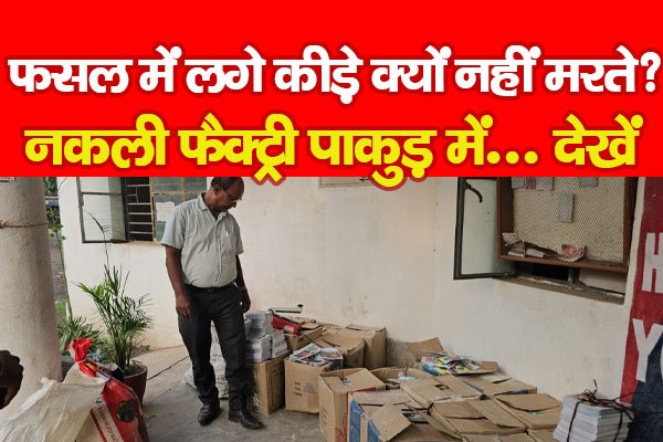 फसल में लगे कीड़े क्यों नहीं म*रते? नकली फैक्ट्री पाकुड़ में... देखें फसल में लगे कीड़े क्यों नहीं म*रते? नकली फैक्ट्री पाकुड़ में... देखें