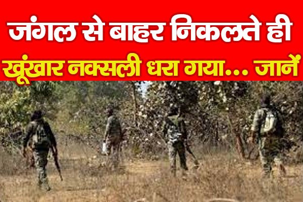 जंगल से बाहर निकलते ही खूंखार नक्सली धरा गया... जानें जंगल से बाहर निकलते ही खूंखार नक्सली धरा गया... जानें