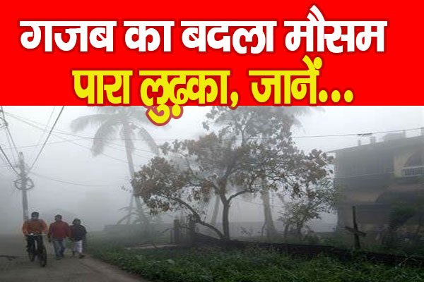 गजब का बदला मौसम, पारा लुढ़का, जानें... गजब का बदला मौसम, पारा लुढ़का, जानें...