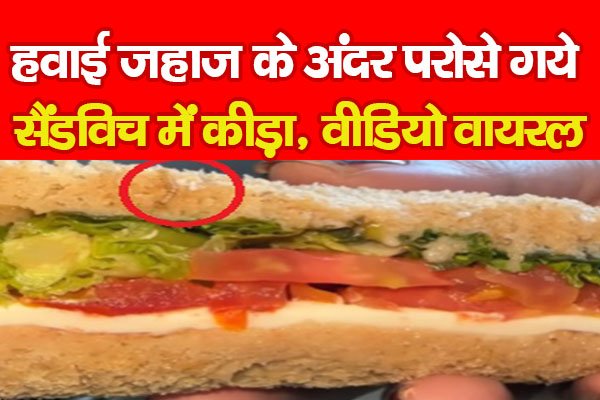हवाई जहाज के अंदर परोसे गये सैंडविच में कीड़ा, वीडियो वायरल... हवाई जहाज के अंदर परोसे गये सैंडविच में कीड़ा, वीडियो वायरल...