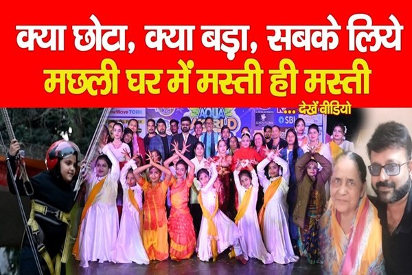 क्या छोटा, क्या बड़ा, सबके लिये मछली घर में मस्ती ही मस्ती... देखें वीडियो क्या छोटा, क्या बड़ा, सबके लिये मछली घर में मस्ती ही मस्ती... देखें वीडियो
