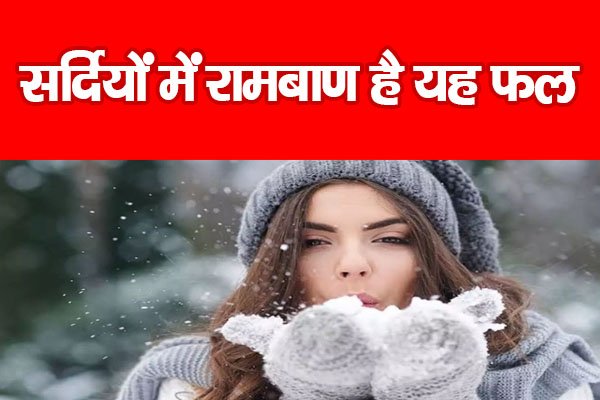 सर्दियों में रामबाण है यह फल... सर्दियों में रामबाण है यह फल...
