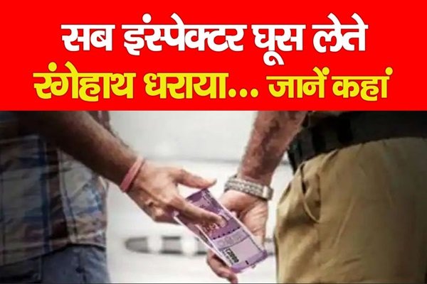 सब इंस्पेक्टर घूस लेते रंगेहाथ धराया... जानें कहां सब इंस्पेक्टर घूस लेते रंगेहाथ धराया... जानें कहां
