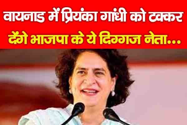 वायनाड में प्रियंका गांधी को टक्कर देंगे भाजपा के ये दिग्गज नेता वायनाड में प्रियंका गांधी को टक्कर देंगे भाजपा के ये दिग्गज नेता