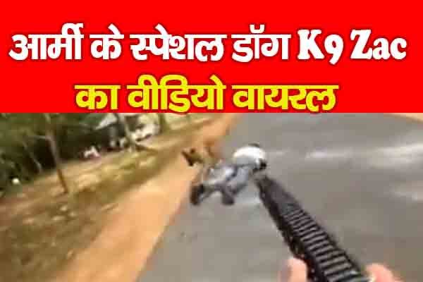 आर्मी के स्पेशल डॉग K9 Zac का वीडियो वायरल आर्मी के स्पेशल डॉग K9 Zac का वीडियो वायरल