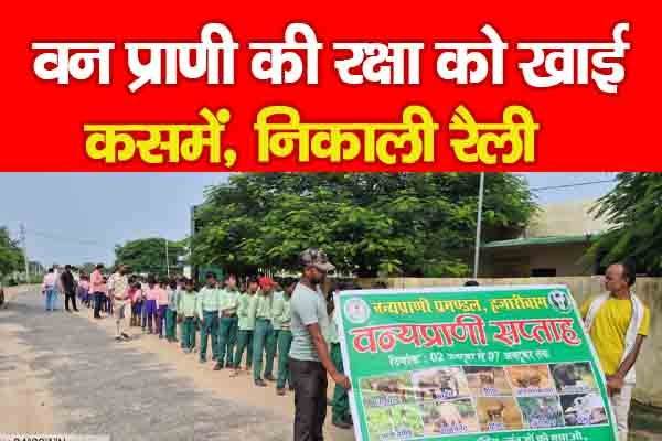 वन प्राणी की रक्षा को खाई कसमें, निकाली रैली वन प्राणी की रक्षा को खाई कसमें, निकाली रैली