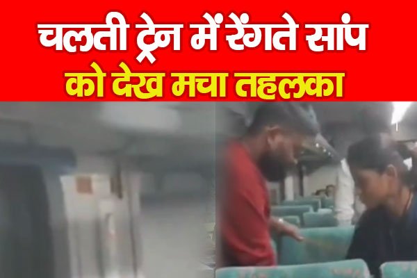 चलती ट्रेन में रेंगते सांप को देख मचा तहलका चलती ट्रेन में रेंगते सांप को देख मचा तहलका