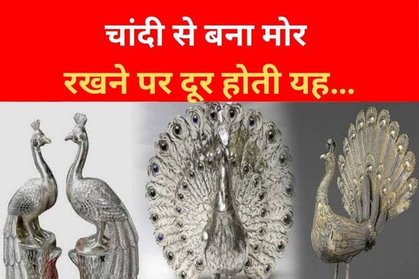 चांदी से बना मोर रखने पर दूर होती यह... चांदी से बना मोर रखने पर दूर होती यह...