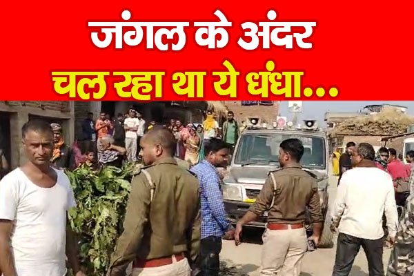 जंगल के अंदर चल रहा था ये धंधा... जंगल के अंदर चल रहा था ये धंधा...