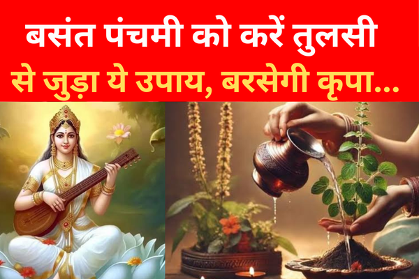 बसंत पंचमी को करें तुलसी से जुड़ा ये उपाय, बरसेगी कृपा... बसंत पंचमी को करें तुलसी से जुड़ा ये उपाय, बरसेगी कृपा...