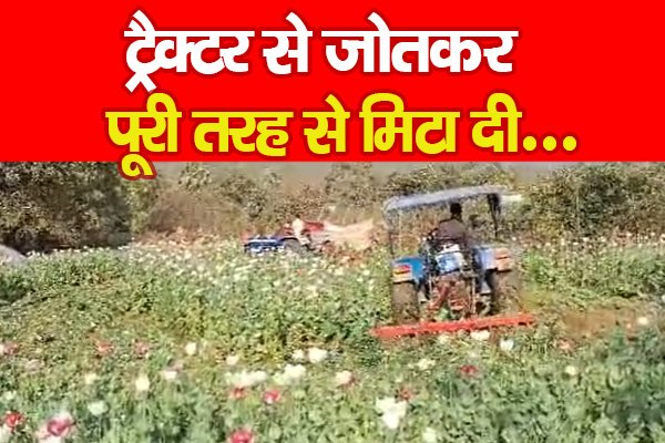 ट्रैक्टर से जोतकर पूरी तरह से मिटा दी... ट्रैक्टर से जोतकर पूरी तरह से मिटा दी...
