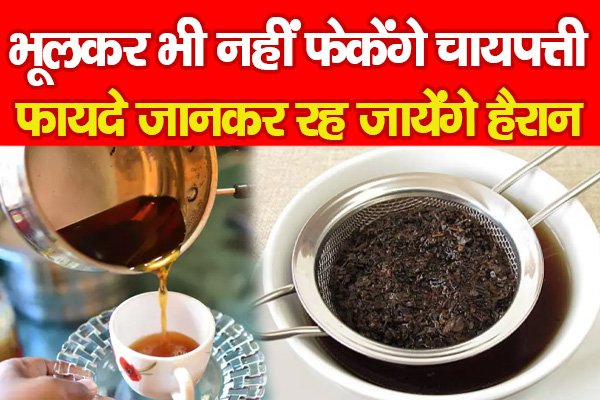 भूलकर भी नहीं फेकेंगे चायपत्ती, फायदे जानकर रह जायेंगे हैरान भूलकर भी नहीं फेकेंगे चायपत्ती, फायदे जानकर रह जायेंगे हैरान