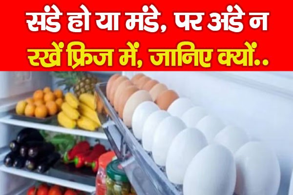 संडे हो या मंडे, पर अंडे न रखें फ्रिज में, जानिए क्यों.. संडे हो या मंडे, पर अंडे न रखें फ्रिज में, जानिए क्यों..