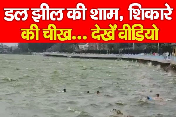 डल झील की शाम, शिकारे की चीख... देखें वीडियो डल झील की शाम, शिकारे की चीख... देखें वीडियो