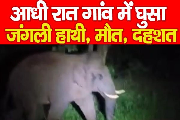 आधी रात गांव में घुसा जंगली हाथी, मौ'त, दहशत... आधी रात गांव में घुसा जंगली हाथी, मौ'त, दहशत...