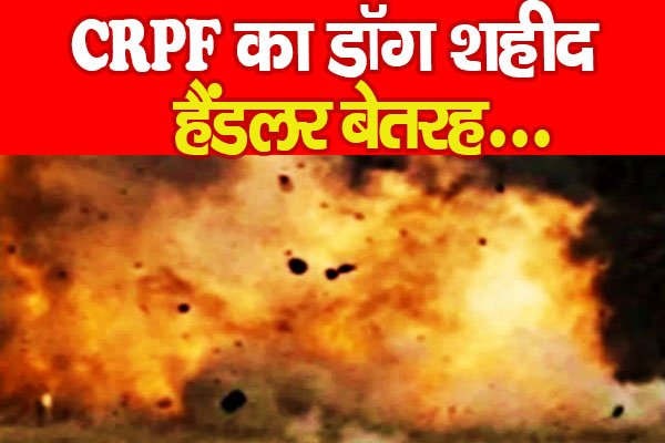 CRPF का डॉग शहीद, हैंडलर बेतरह... CRPF का डॉग शहीद, हैंडलर बेतरह...