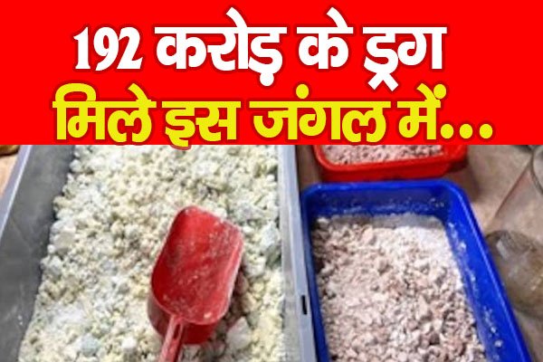192 करोड़ के ड्रग मिले इस जंगल में... 192 करोड़ के ड्रग मिले इस जंगल में...