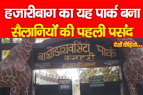 हजारीबाग का यह पार्क बना सैलानियों की पहली पसंद... देखें वीडियो हजारीबाग का यह पार्क बना सैलानियों की पहली पसंद... देखें वीडियो