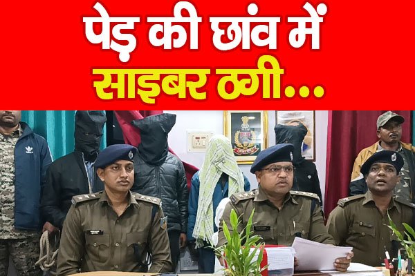 पेड़ की छांव में साइबर ठगी... पेड़ की छांव में साइबर ठगी...